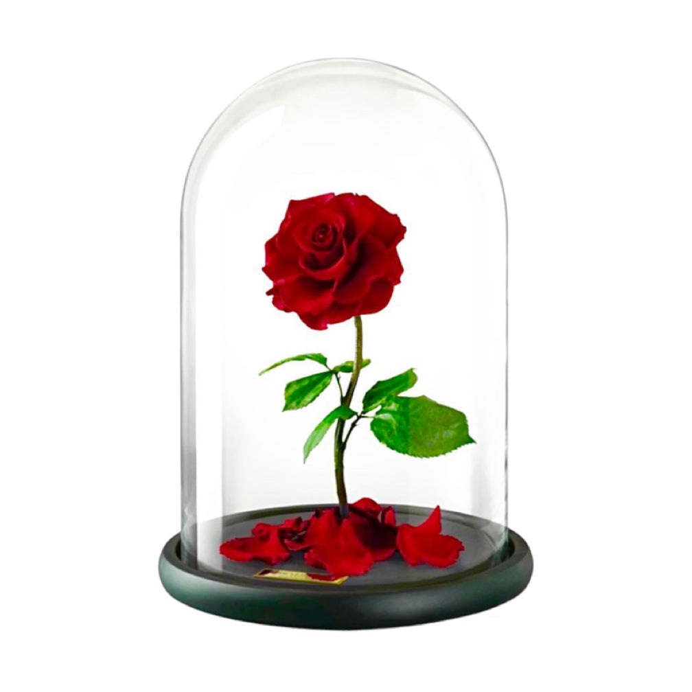 LA ROSE ROUGE ÉTERNELLE - Passion Fleur, votre fleuriste dans les Landes